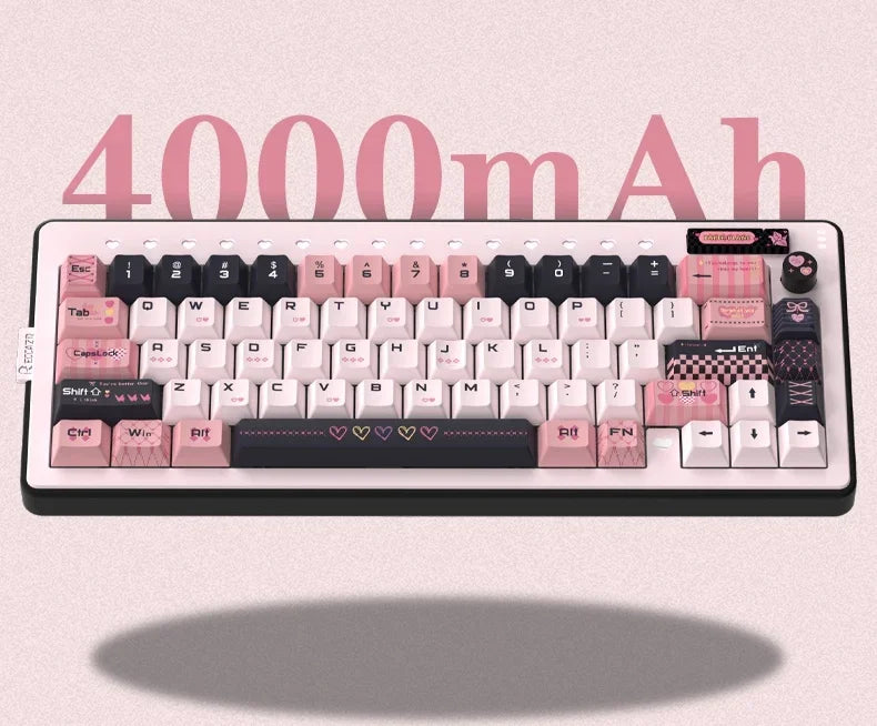 RECCAZR Paper Plane66 R66 Mechanical Keyboard Kit Aluminum RGB Gasket Structure Hot Swap with Control Knob Tri-mode Keyboard
