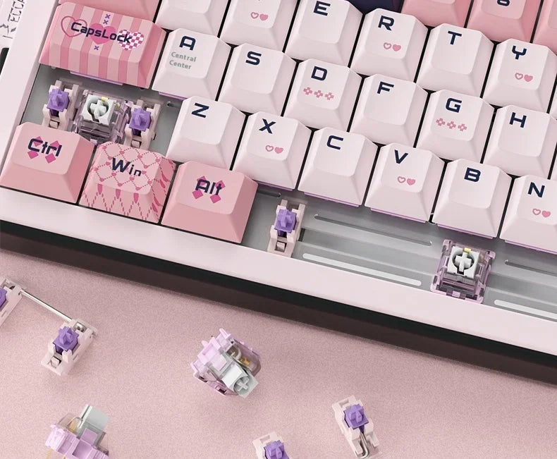 RECCAZR Paper Plane66 R66 Mechanical Keyboard Kit Aluminum RGB Gasket Structure Hot Swap with Control Knob Tri-mode Keyboard