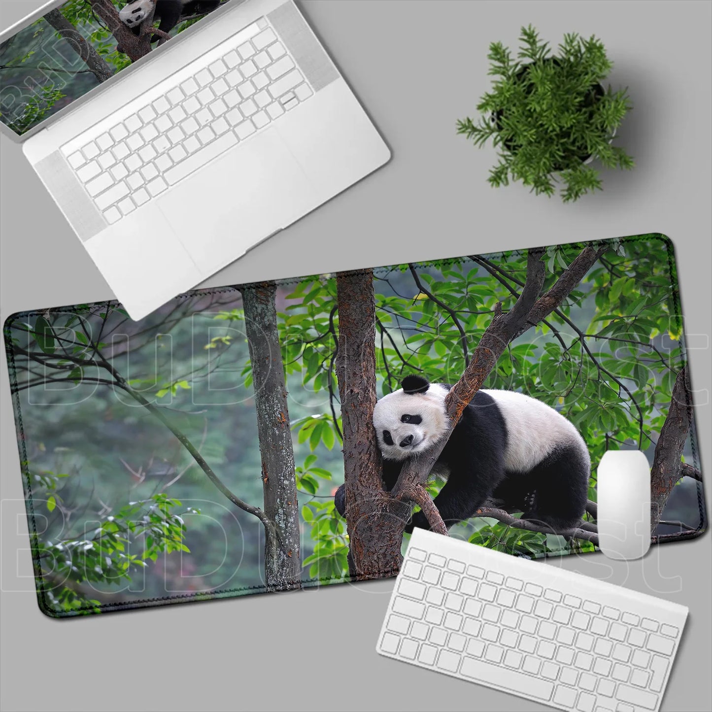 HD Printing Kawaii Anime Panda Mouse Pad Large Computer Office PC Game Table Mats XXL Gaming Keyboard Pad Cute Animals Desk Pads
