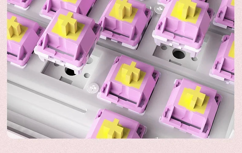 RECCAZR Paper Plane66 R66 Mechanical Keyboard Kit Aluminum RGB Gasket Structure Hot Swap with Control Knob Tri-mode Keyboard