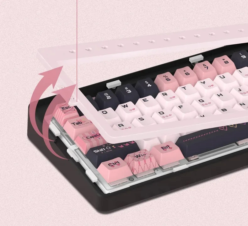 RECCAZR Paper Plane66 R66 Mechanical Keyboard Kit Aluminum RGB Gasket Structure Hot Swap with Control Knob Tri-mode Keyboard
